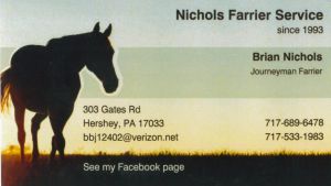 Copy_of_Brian_Nichols_1.jpg