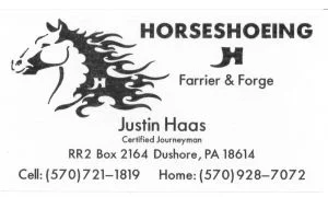 Justin_Haas.jpg