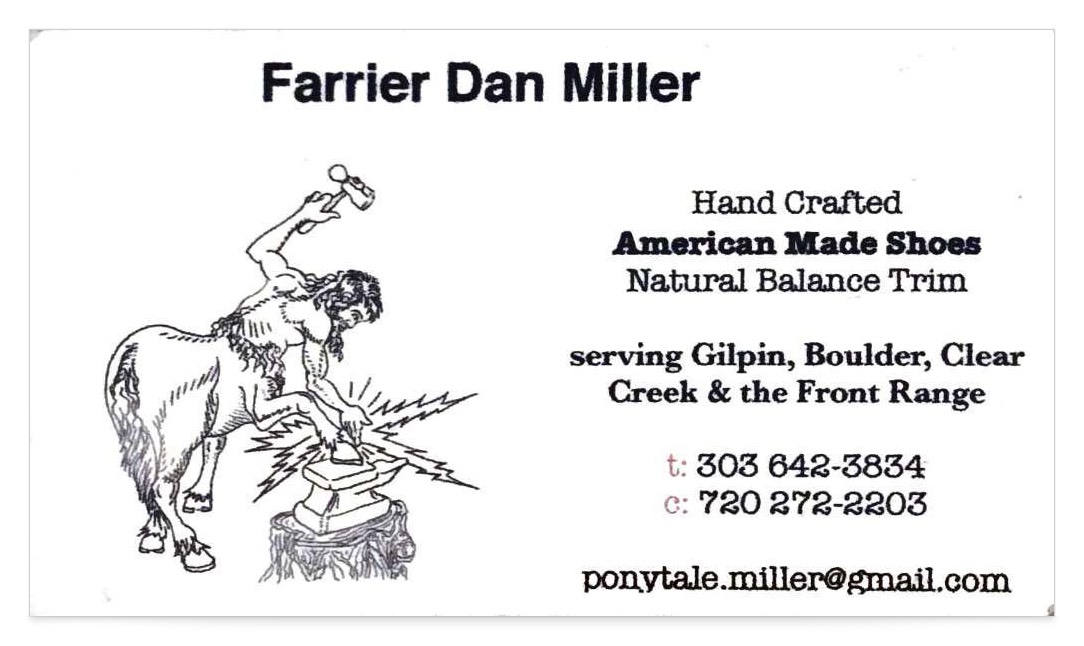 Dan Miller