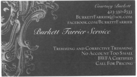 Courtney Burkett