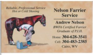 Andrew Nelson