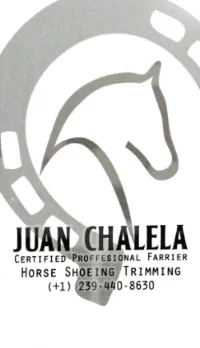 Juan Chalela, Certified Farrier in West Palm Beach, FL.