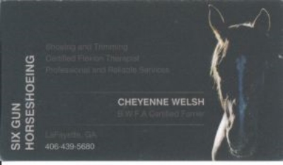 Cheyenne Welsh