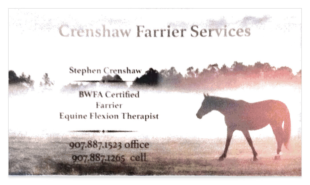 Stephen Crenshaw
