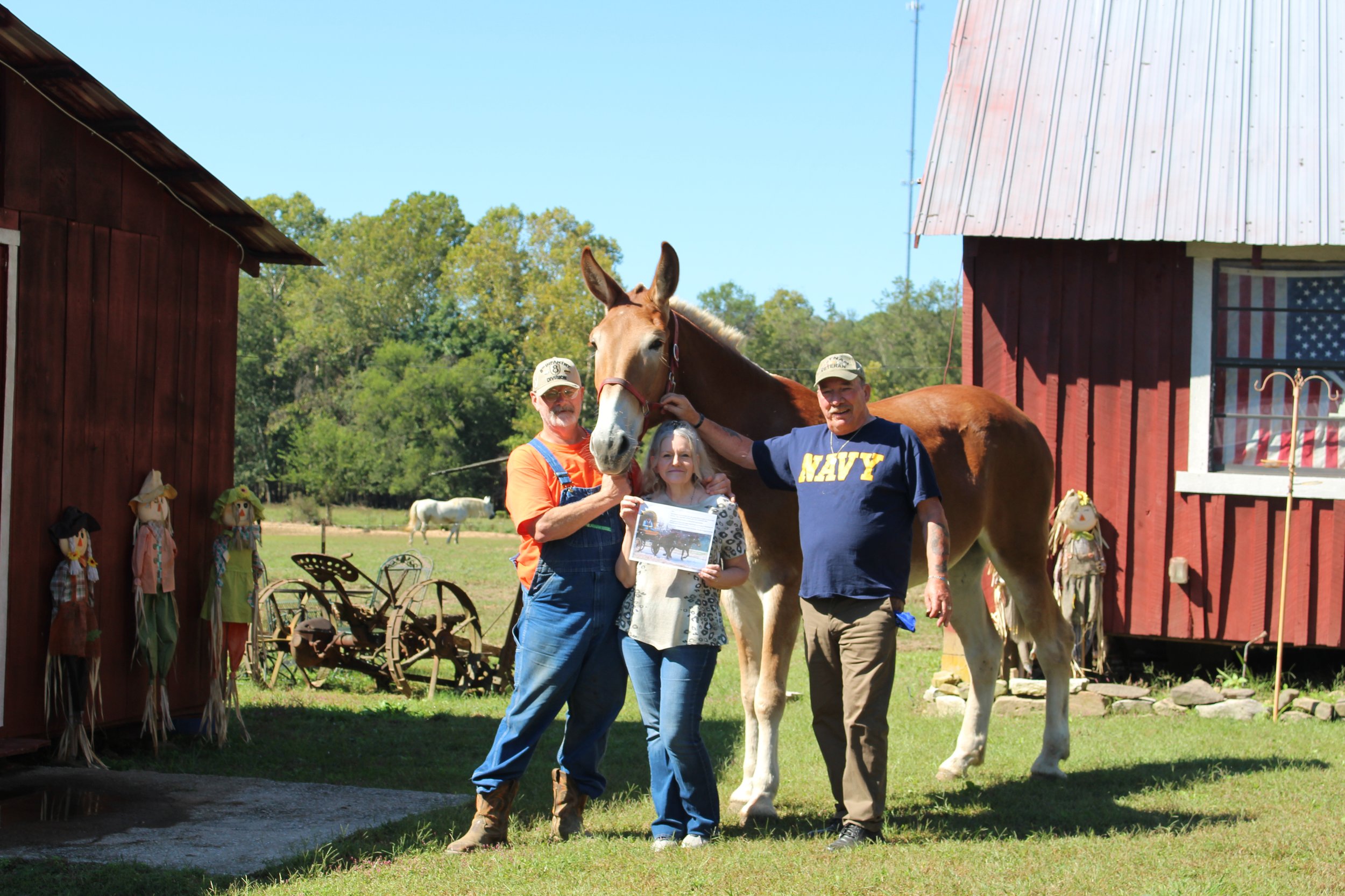  Casey visits with Johnny Smith and wife Brenda, owners of the Sugar Creek Carriage Company in Nashville, TN 10.12.2021 and to talk over shoeing the Big Boys like this Draft Mule Pearl. 