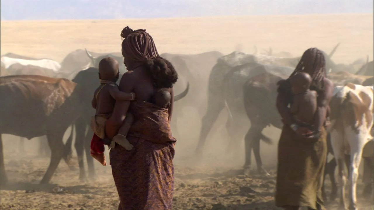 Himba women herding cattle, Marienfluss Valley, Namibia
