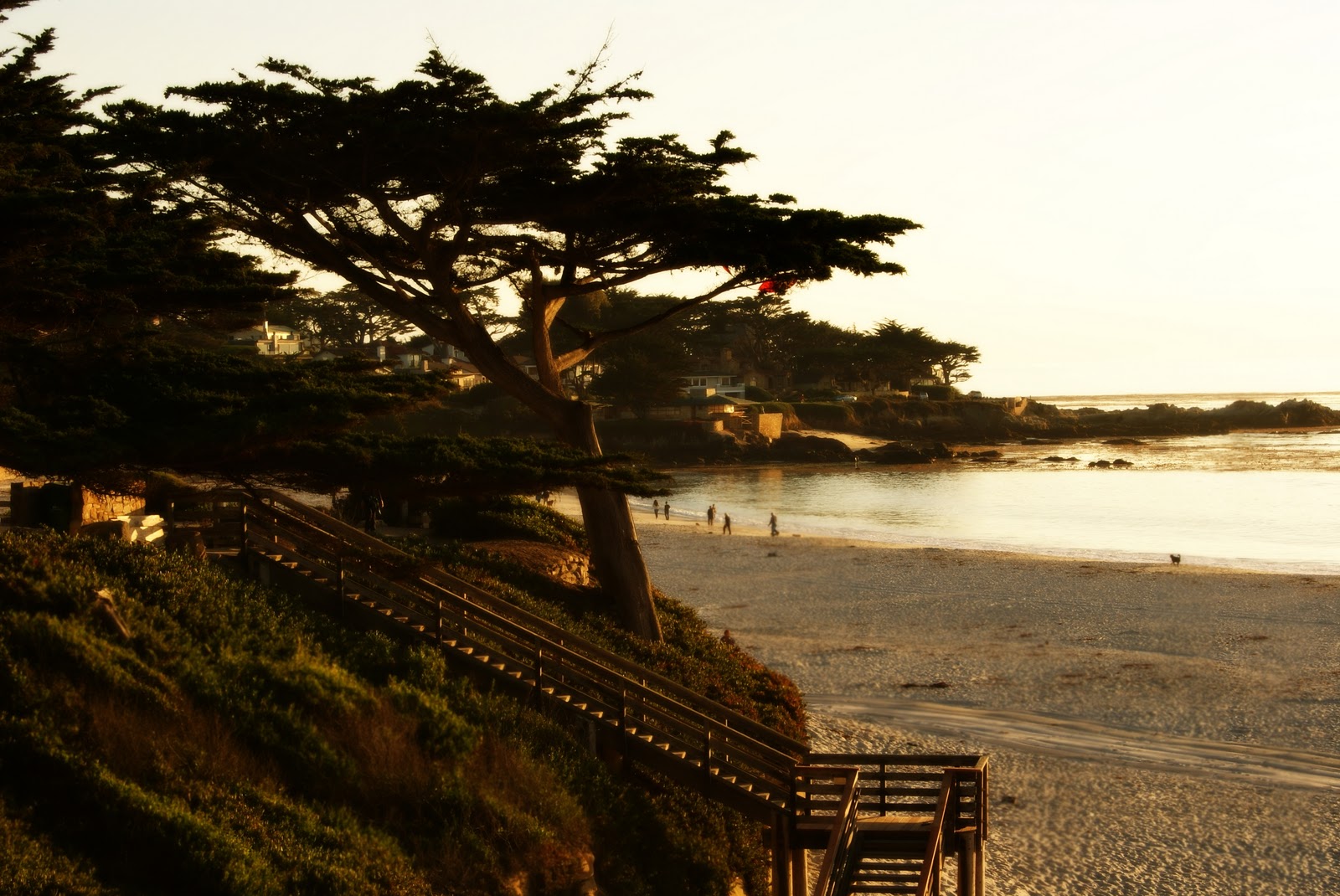 Banner-CarmelBeachStairs.JPG