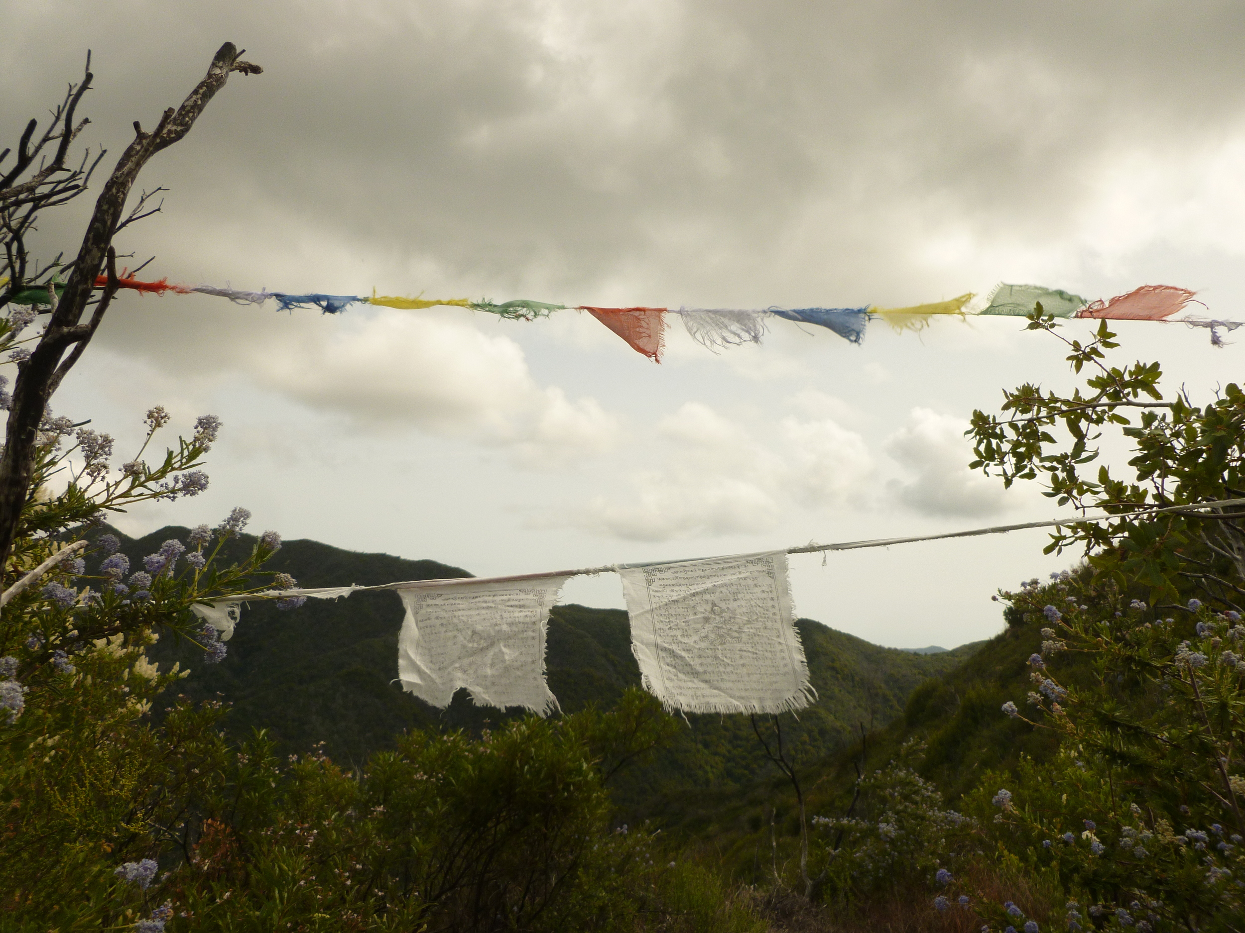 CarmelValleyPrayerFlags.JPG