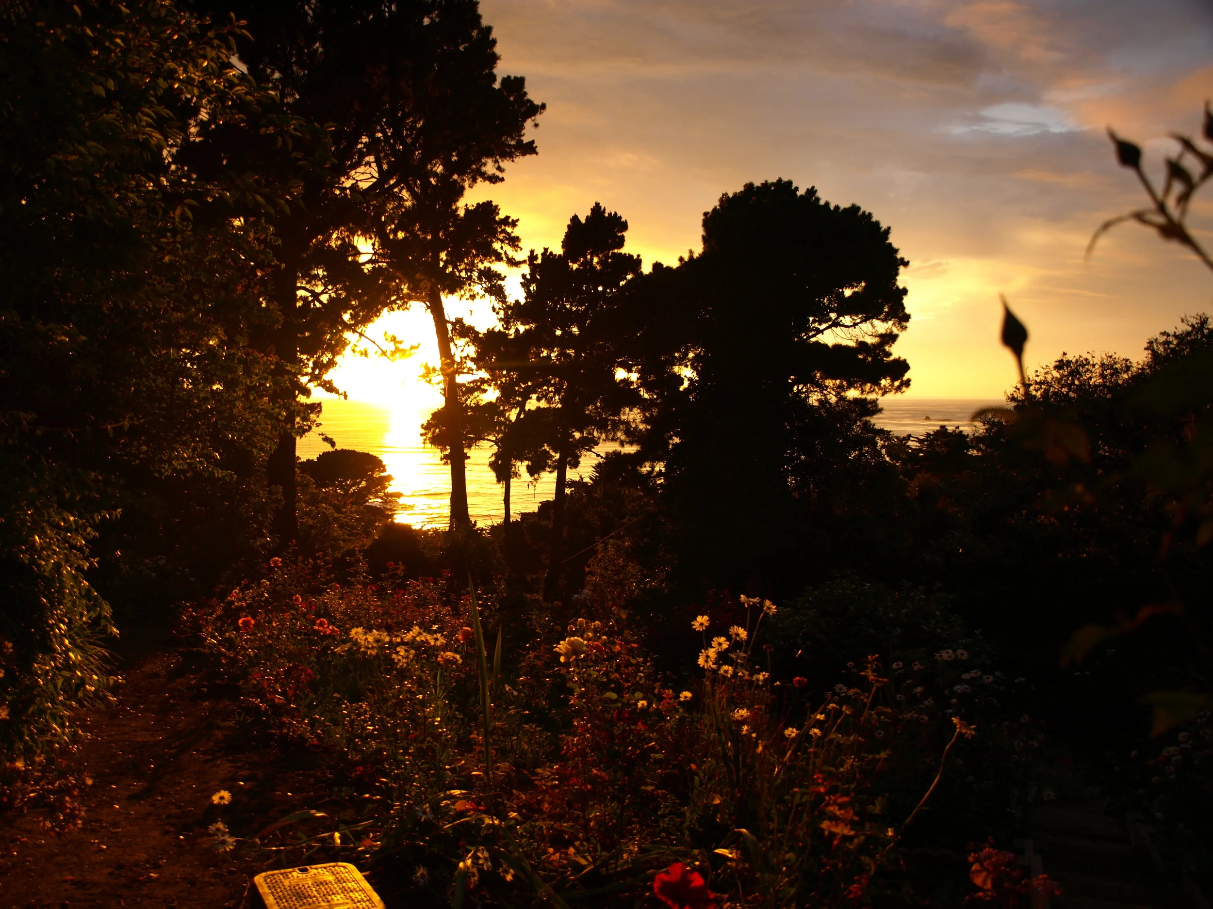 GardenSunset01.JPG