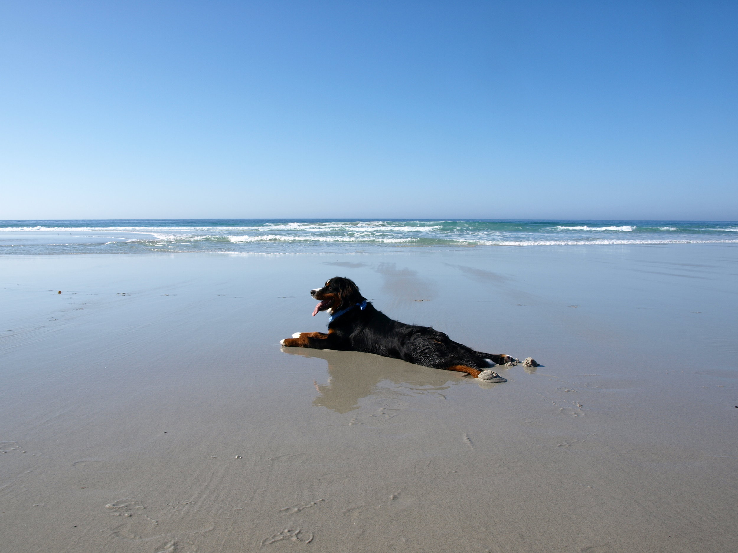 Carmel Beach by Moose