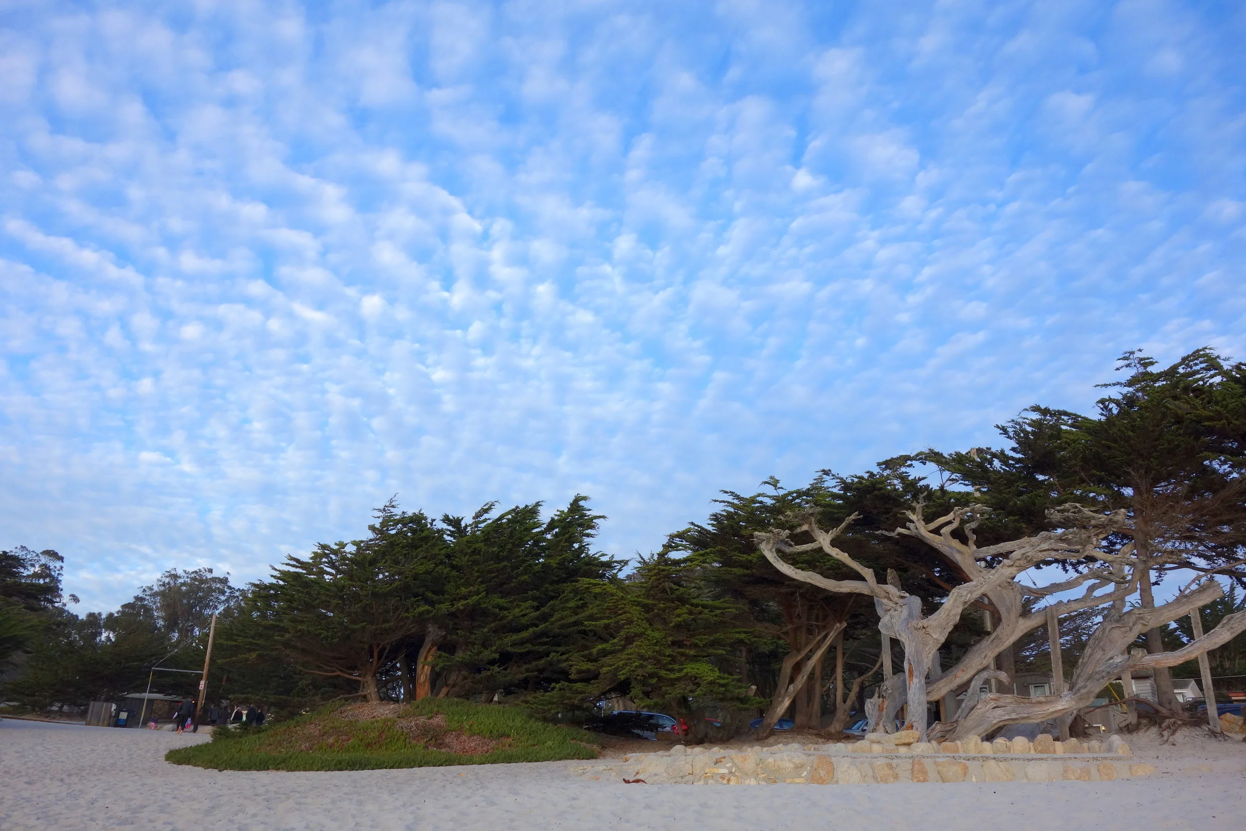 January Events - What to do, where to go, what to see!