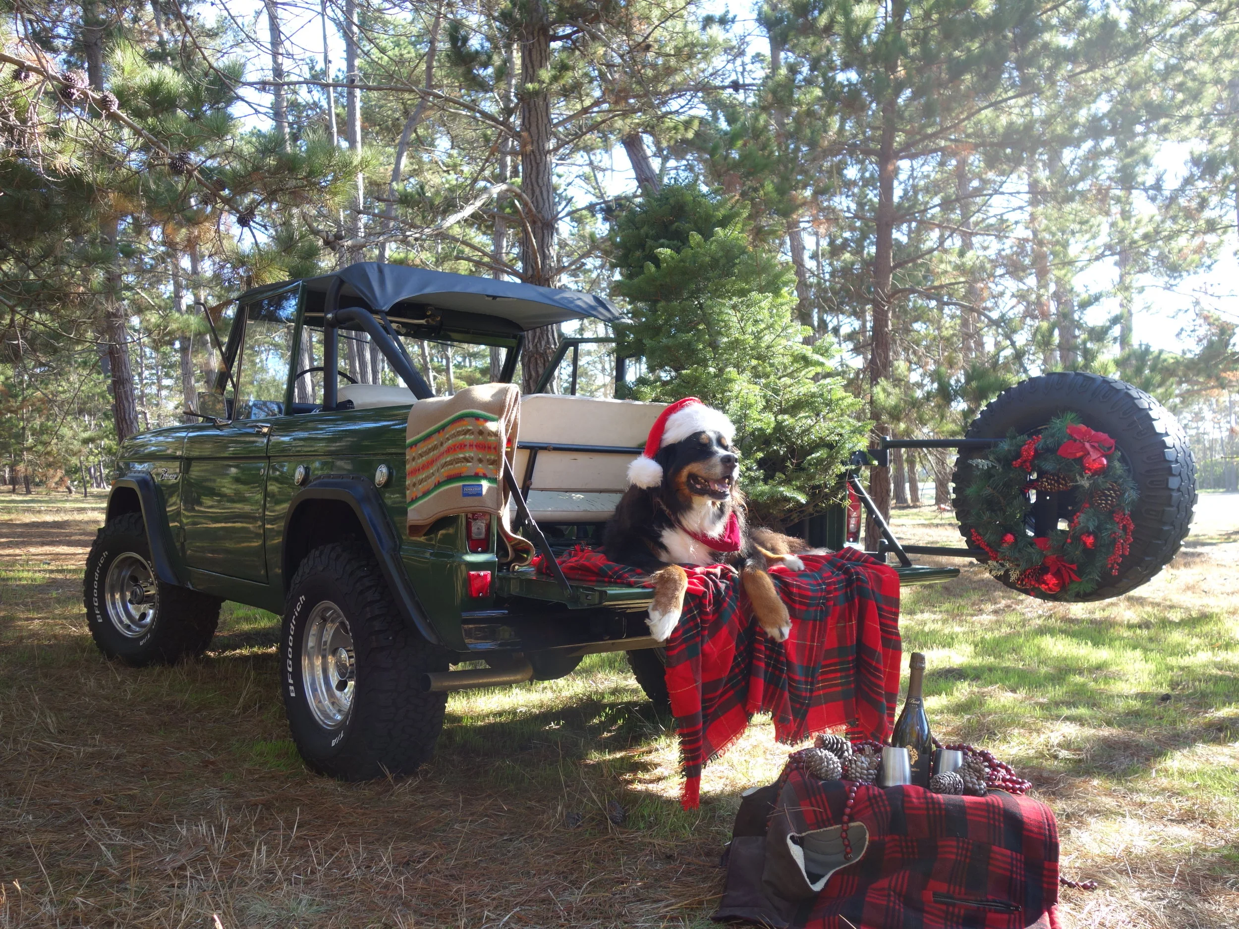 Holiday Season on The Monterey Peninsula