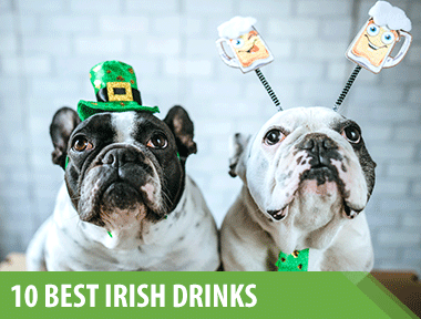 1) Baileys Irish Floats A real Irish treat! 2) Irish Coffee Coffee and whiskey never tasted so good. 3) Baileys S'mores Floats Hot chocolate never saw Baileys coming. 4) Pot o' Gold Shots Want a nonalcoholic version? Swap out the whiskey for another 1/2 c of cold water. 5) Lucky Charms Shots They're magically Delish! 6) Mudslide Hot Chocolate This is not your average hot chocolate. 7) Milk & Cookies Shots Cookies filled with Baileys? Yes please. 8) All Irish Black and Tan This mellow, beer-based beverage features Guinness Draught layered atop another Irish brew — Smithwick's red ale. 9) Baileys Espresso Martini Coffee lovers will flip over this combination of sweet, creamy Baileys and rich brewed espresso. 10) Manhattan Everyone loves the classic, whiskey-based cocktail mixed with sweet vermouth.