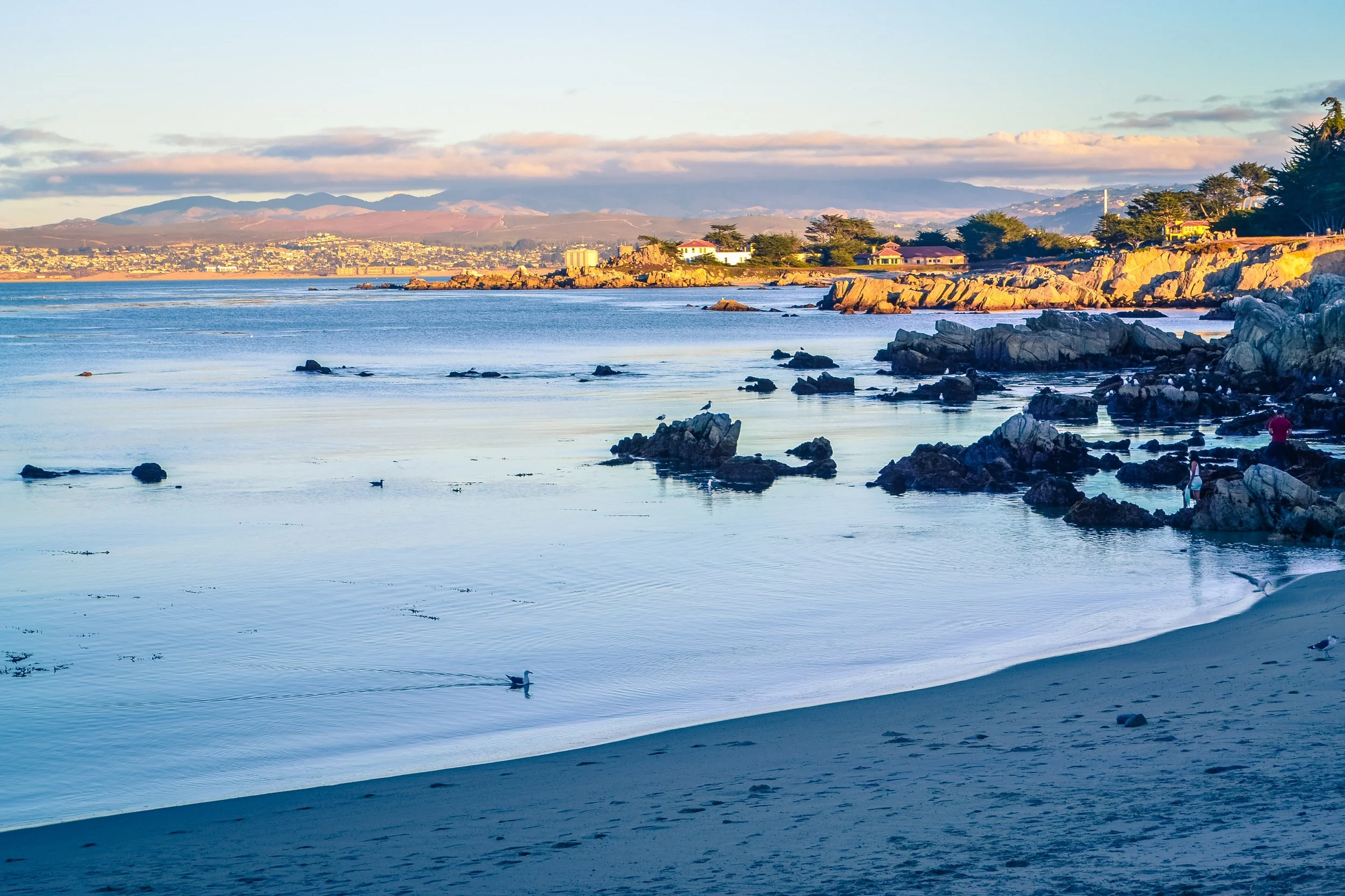 March 2026 Events on The Monterey Peninsula 