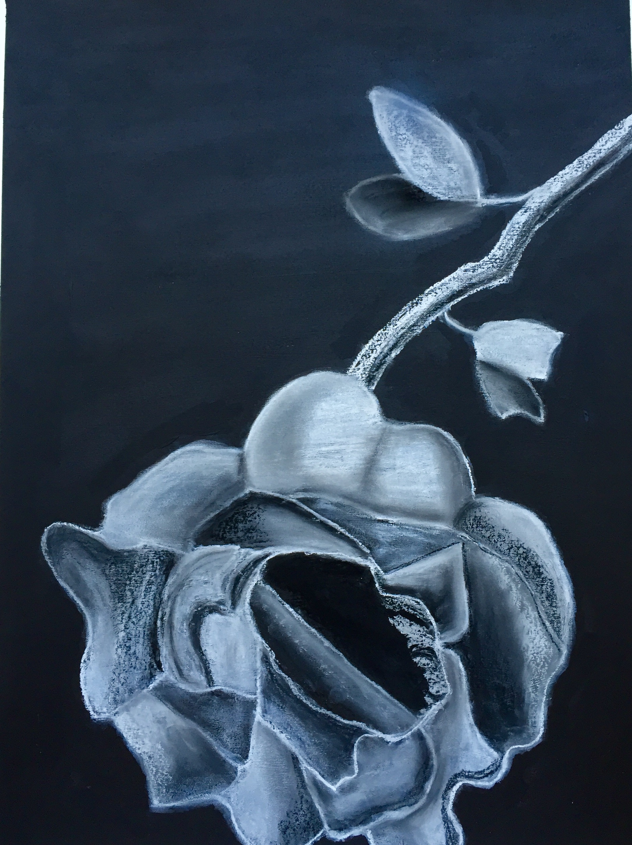 A Rose By Any Other Name...