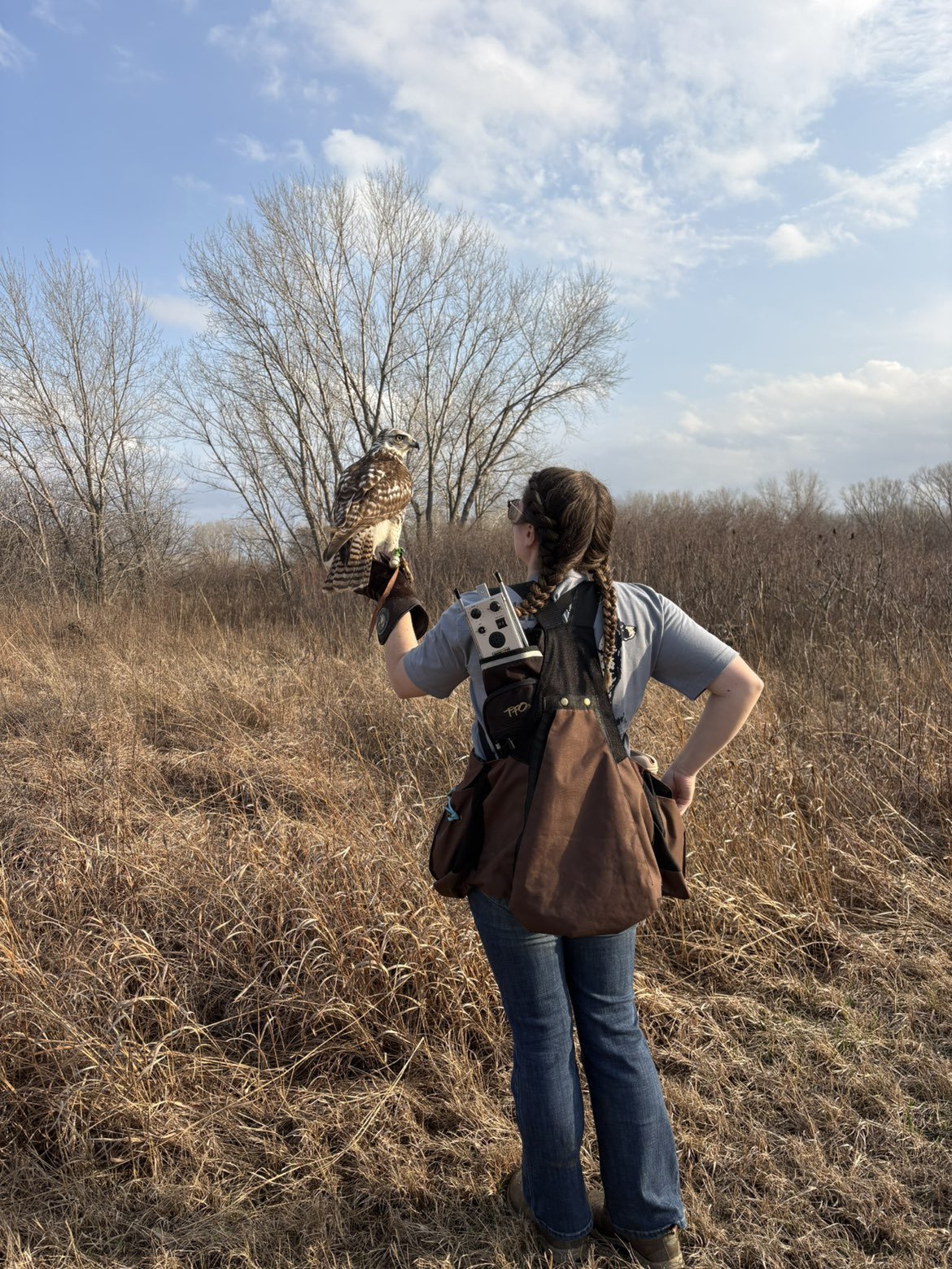 Lexie with Red-tailed Hawk