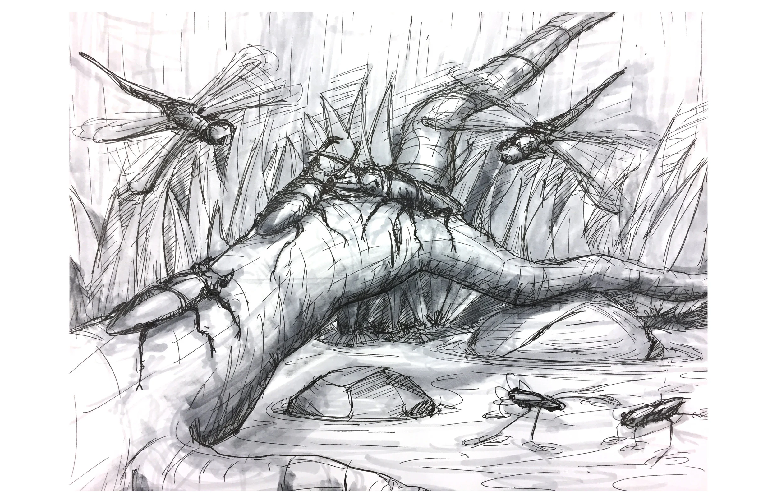 nature06.jpg
