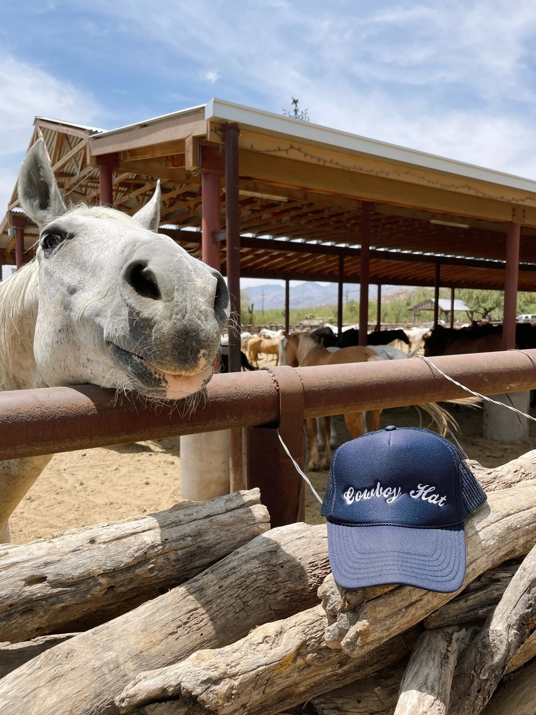 65F1D4E1-99F0-4EF2-8A7D-BAB76FB3FAF7