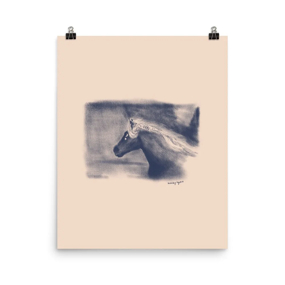 enhanced-matte-paper-poster-(in)-16x20-transparent-6851c9ebb7a59.jpg