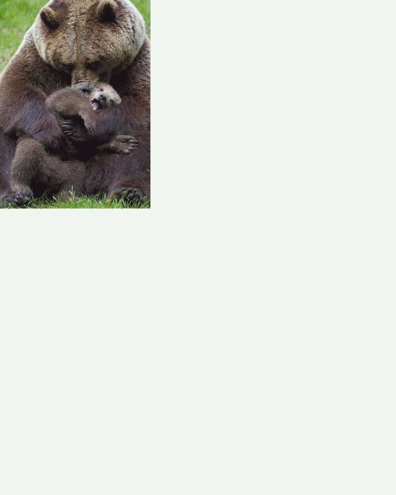 hht_P_studyhall_09.01.23.gif