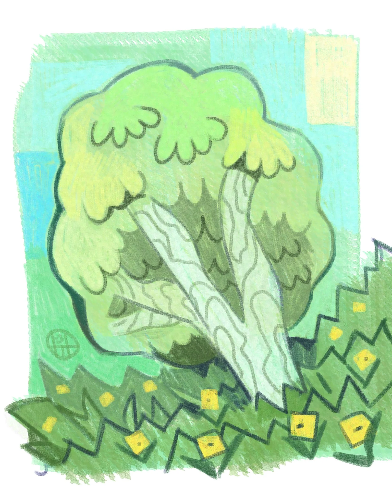 hht_P_plants11.01.23.jpg