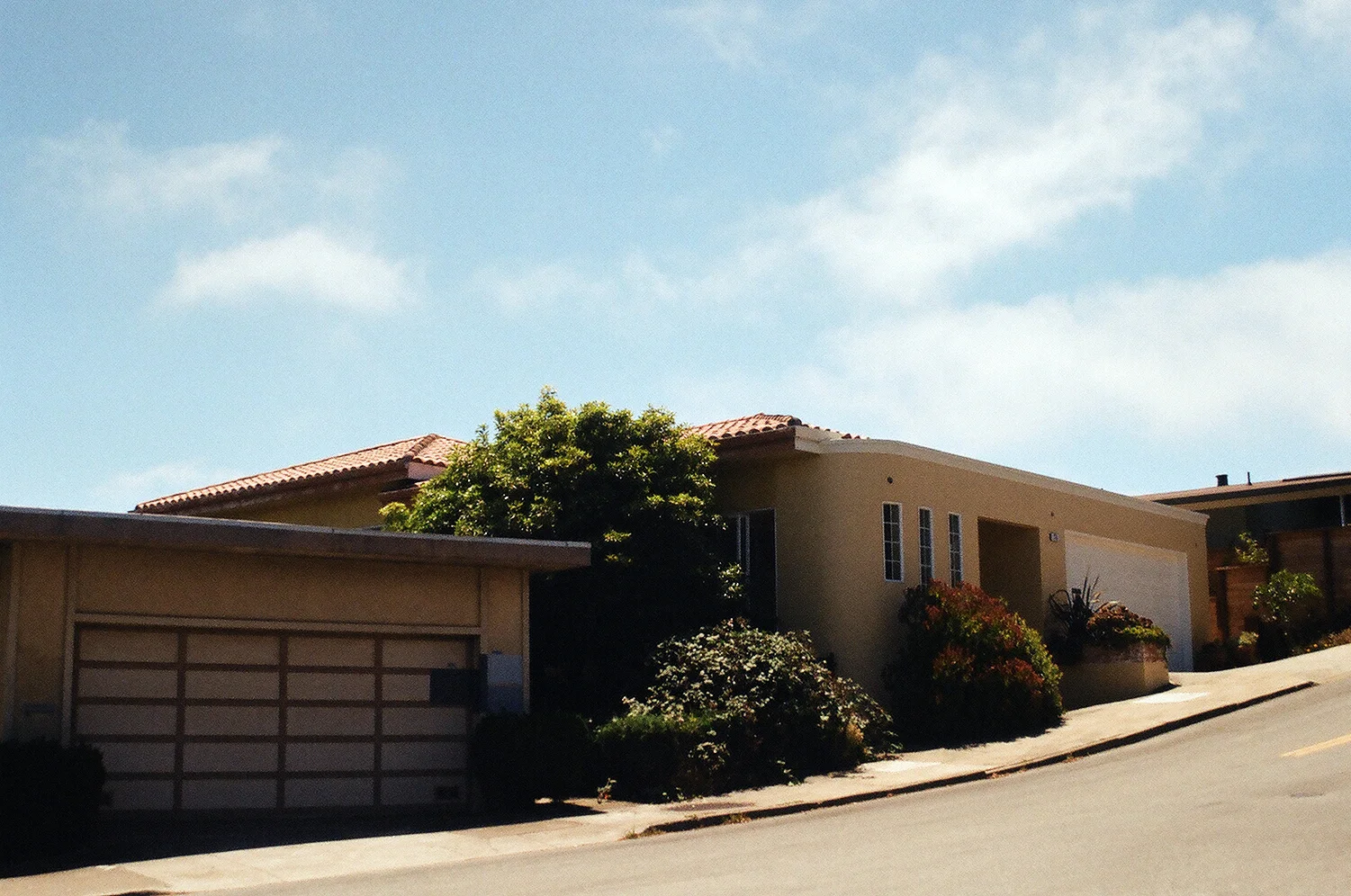 46530024-cropped.jpg