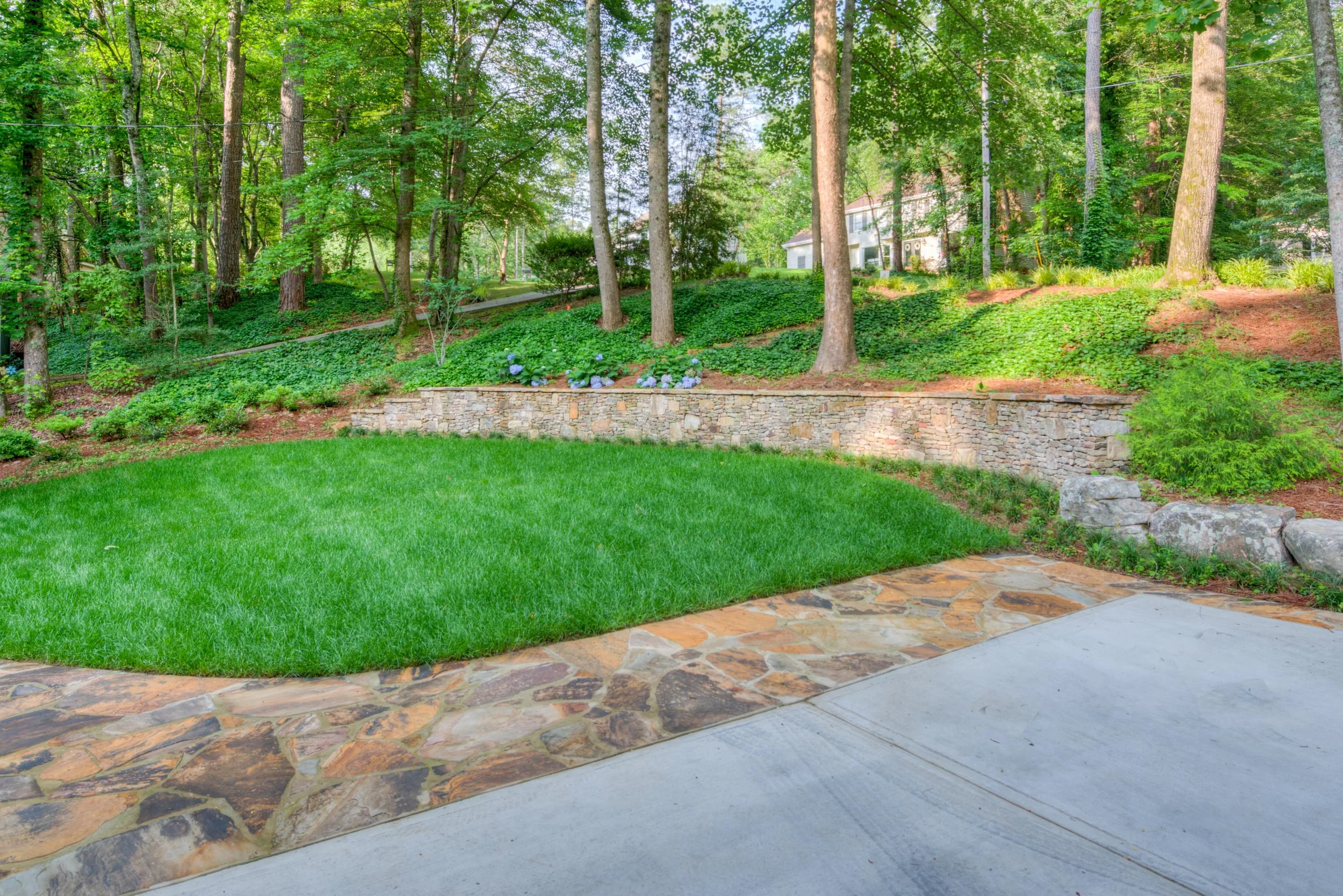 Tracy Lurey web-3.jpg