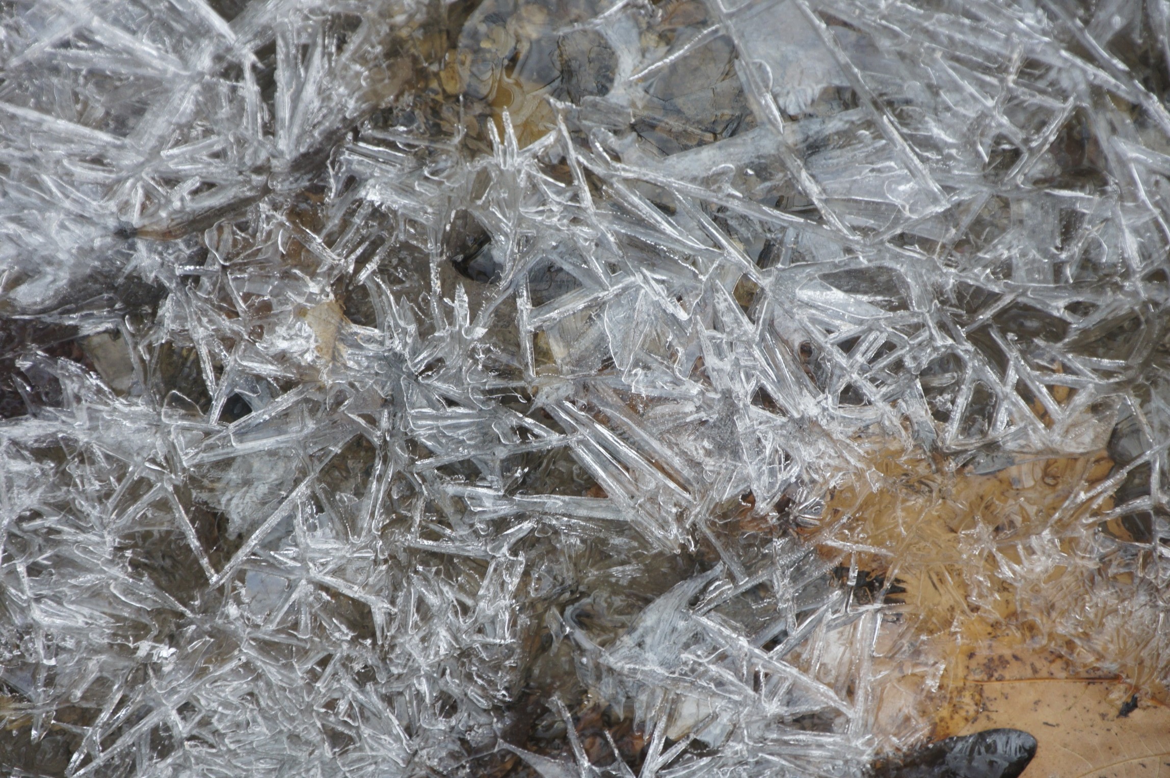 Ice on Creek