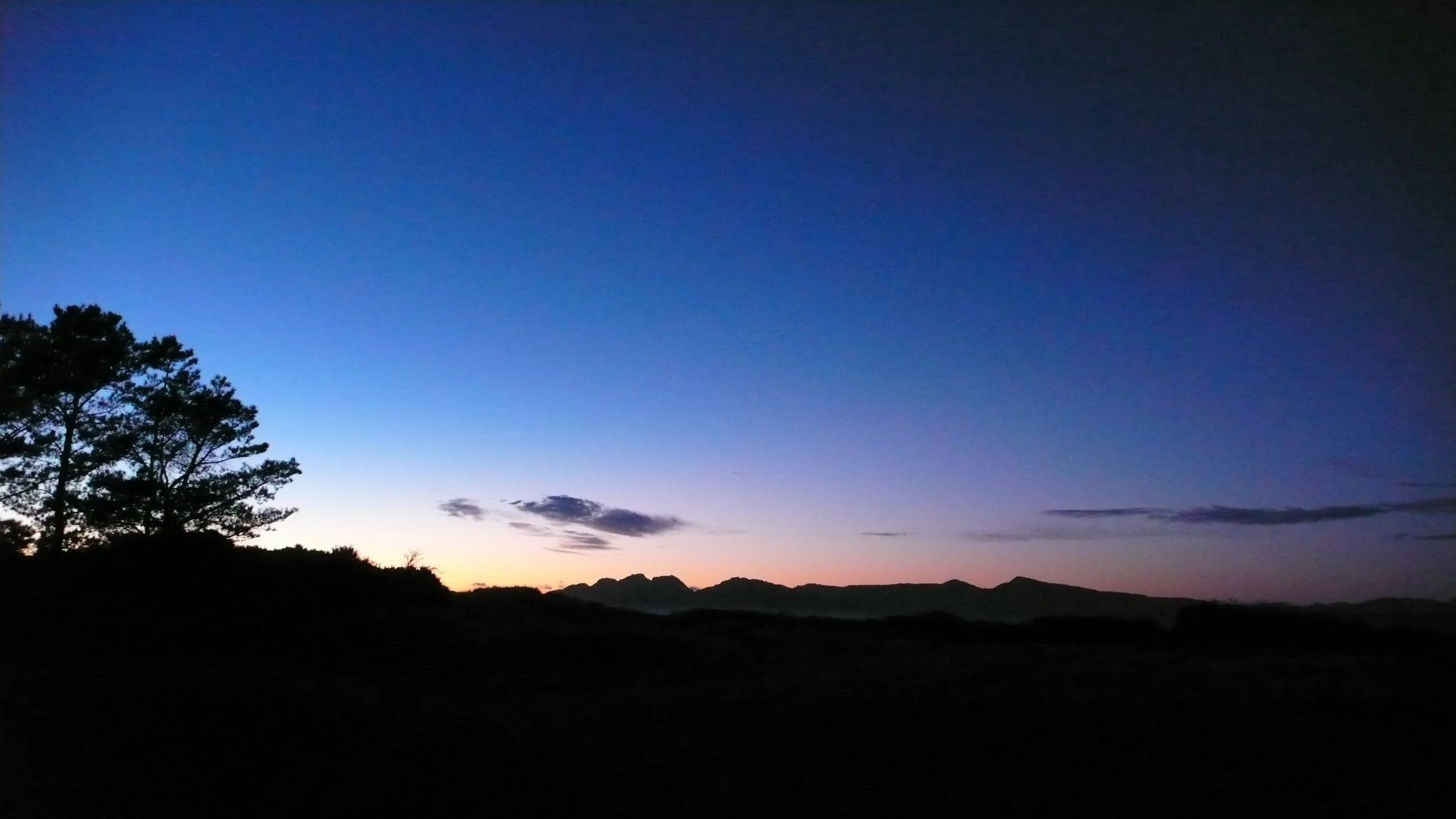 P1160520.jpg