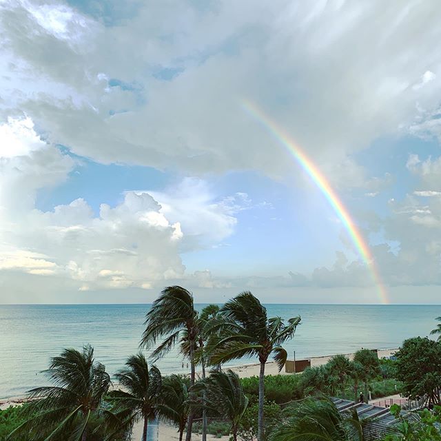 Everyday views from our #rental apartments windows. 🏝🌈All #ocean facing and fully equipped to #relax and #enjoy without a worry. It&rsquo;s all taken care of 🌊. #youdoyou #vacation #holidays #travel #miami #miamibeach #airbnb #treatyourself #super