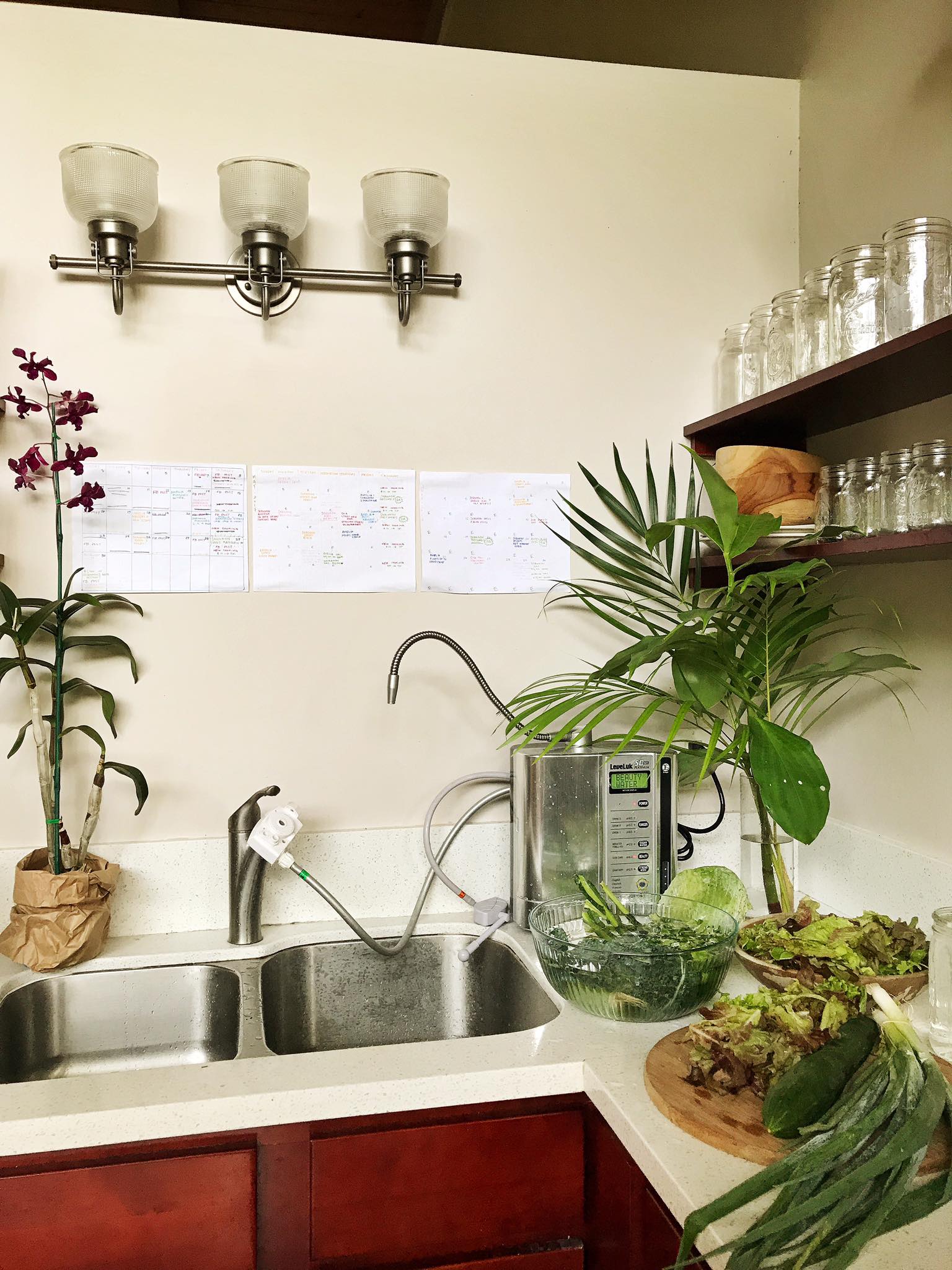 Here is an image of the accoutabiloty clanders that currently reside in our kitchen here on Kauai. Directly above the sink, where we spend most of our time in the kitchen filling up bottles from the Kangen machine and washing/preparing our beautiful fruits and vegetables. I used multi-colored pens and markers to differentiate between personal/physical/financial etc. goals 