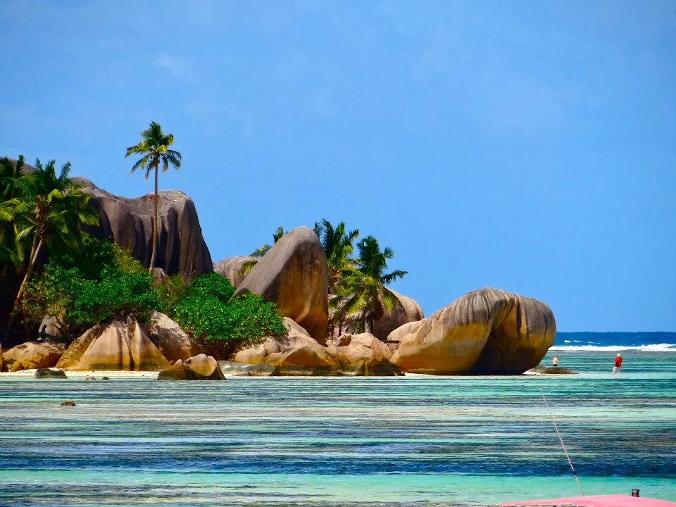 A photo from my time spent in the Seychelles Islands 