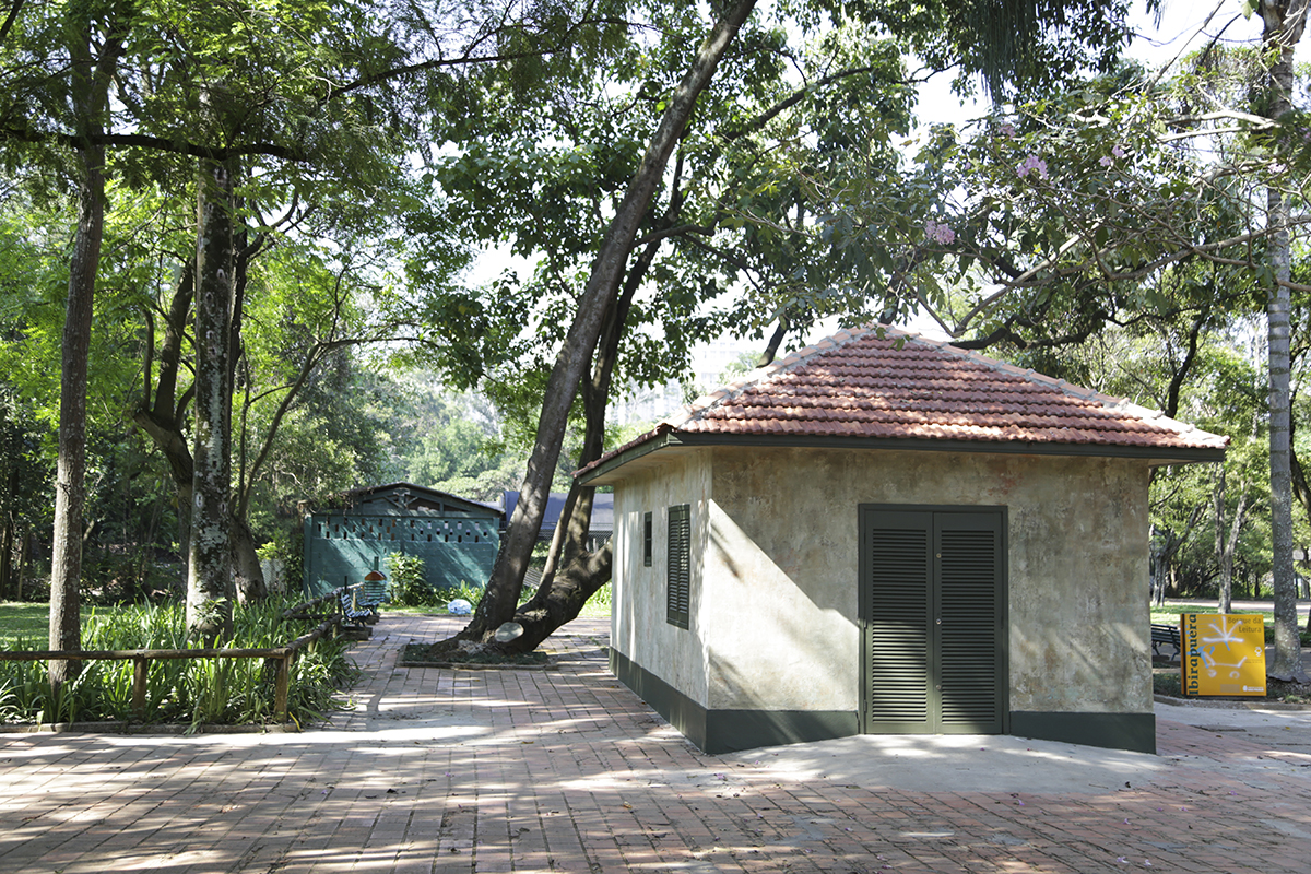 Bosque_007.jpg