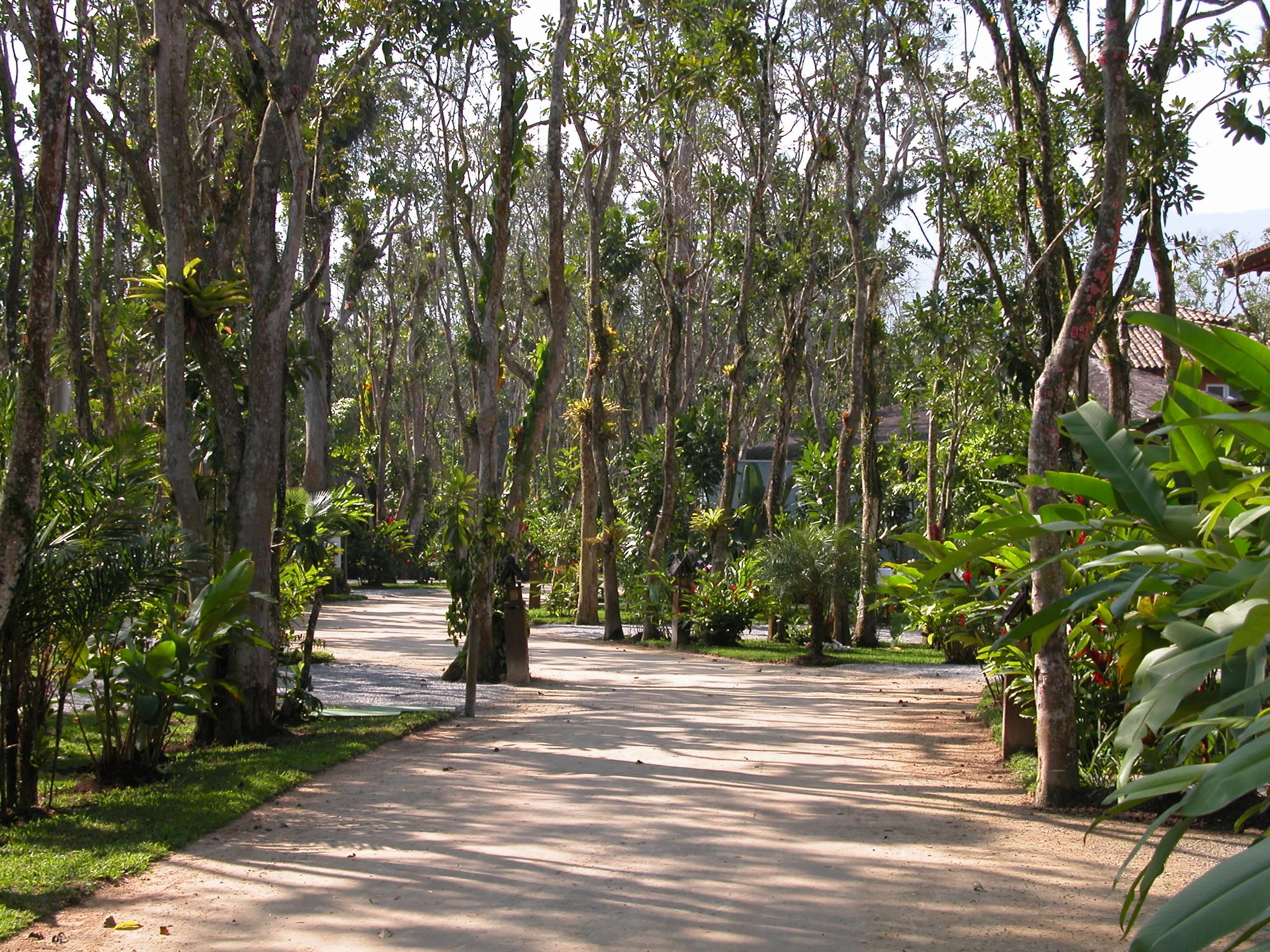 Atlantida 3 - Baleia.jpg