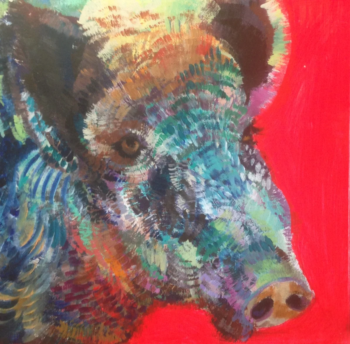 Cinghiale / 12" x 12" / Acrylics on canvas