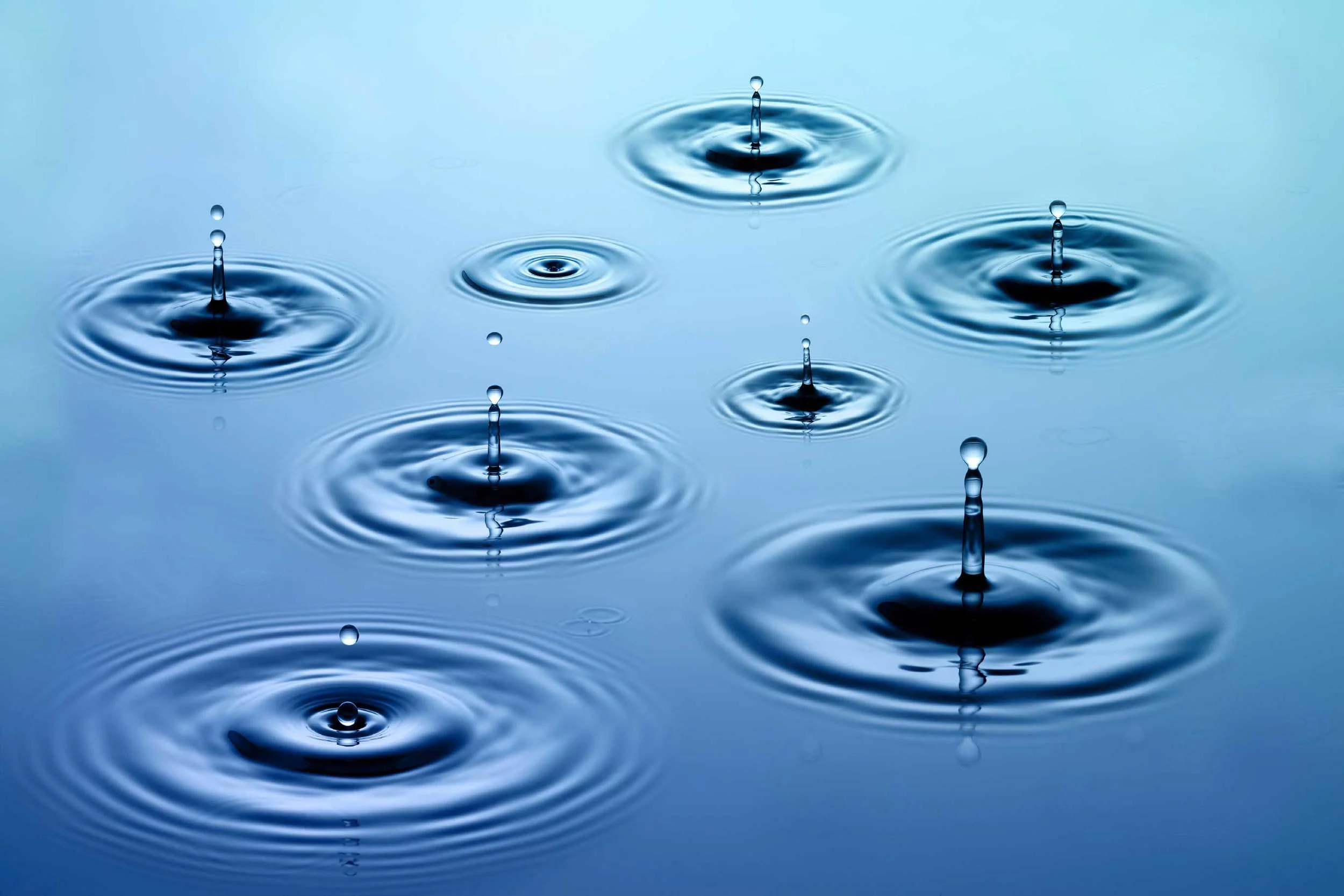 Group Coaching: Single Session