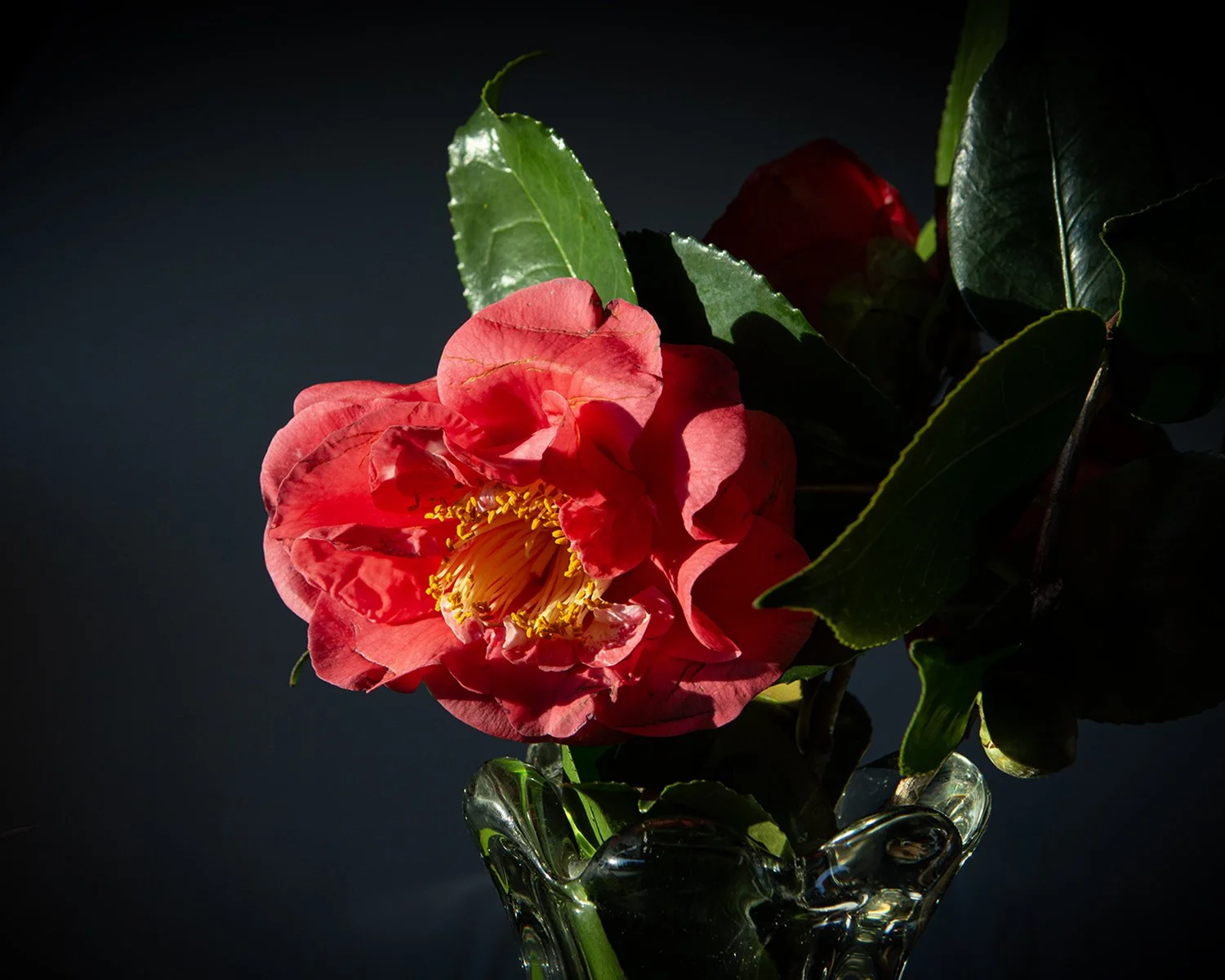 _N5L0061 copy _01.jpg