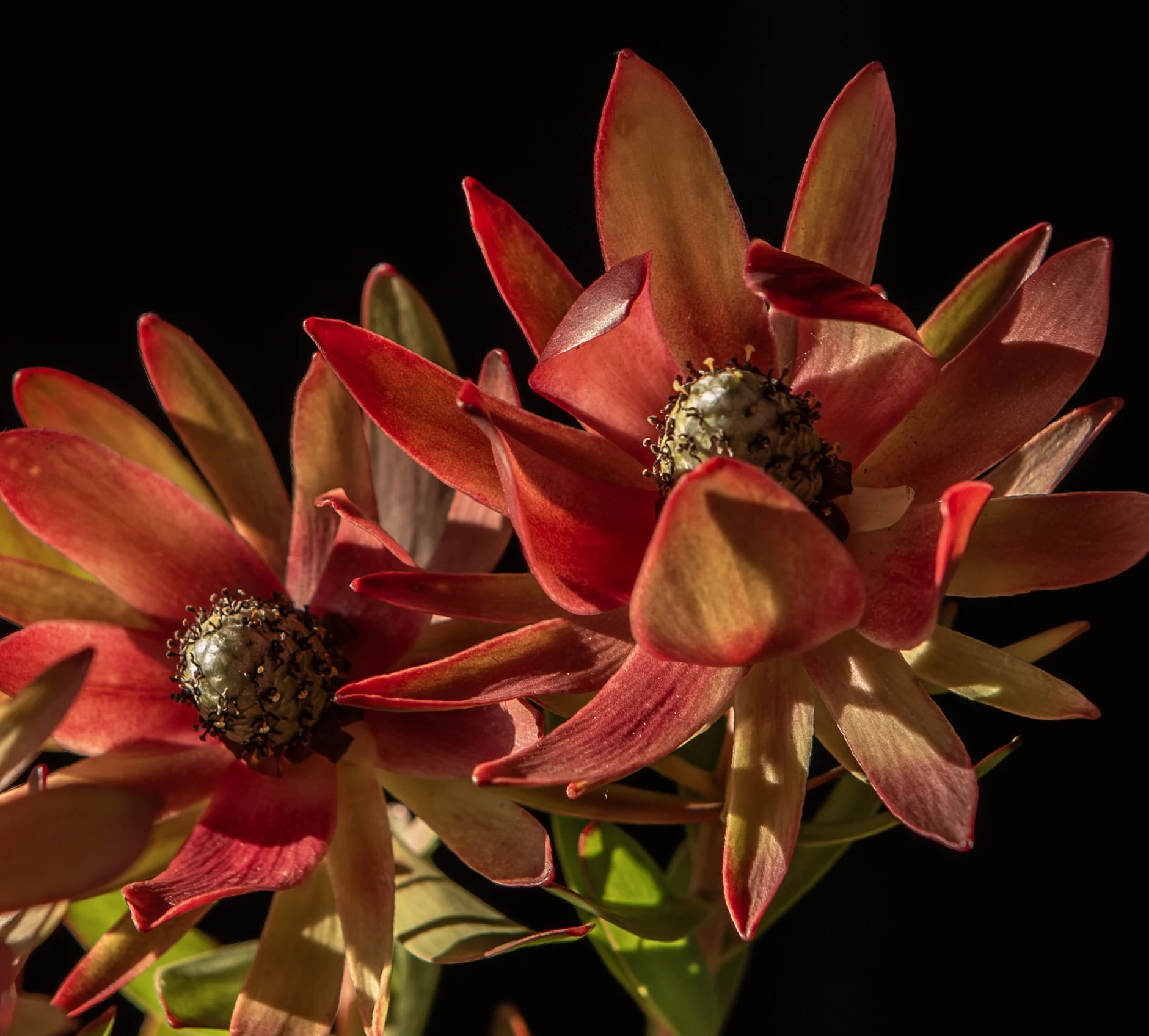 _N5L9871 copy _01.jpg