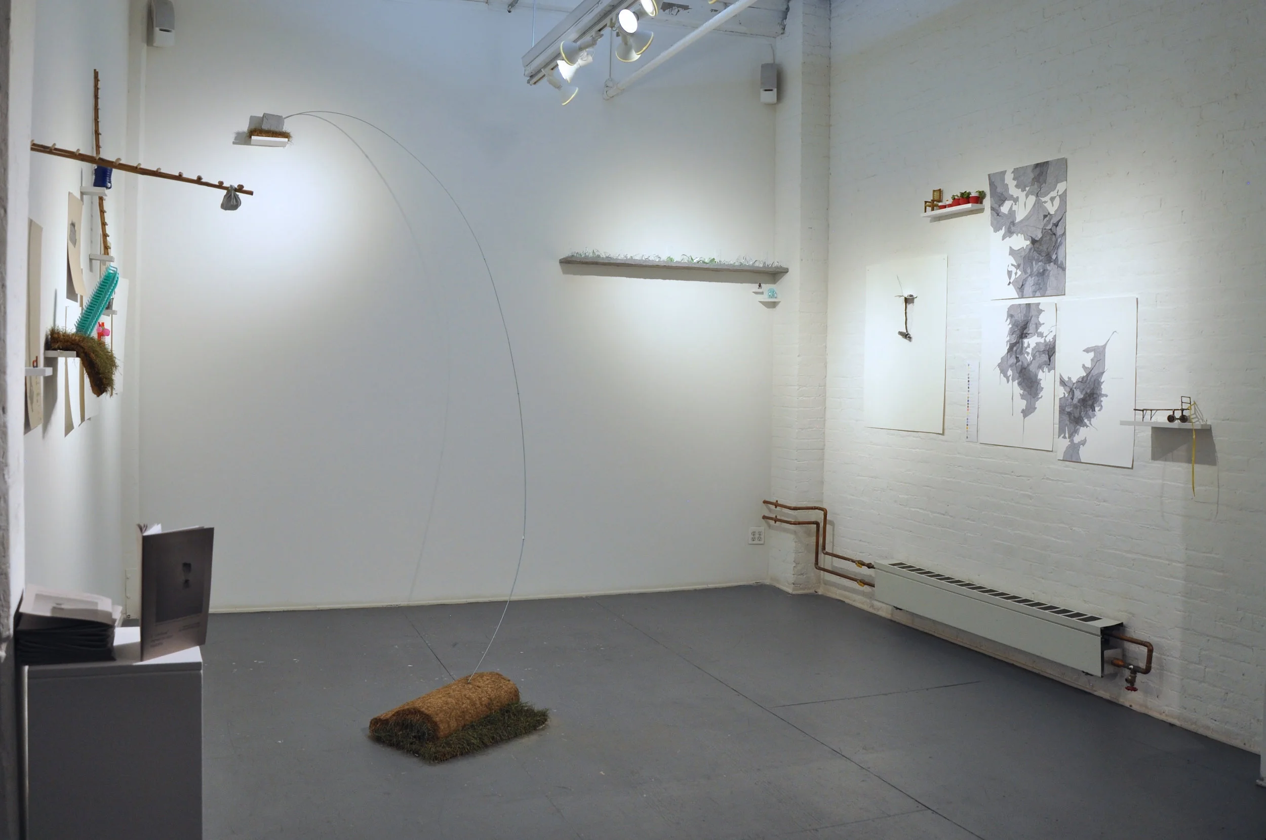 Extraction (installation view)show..jpg