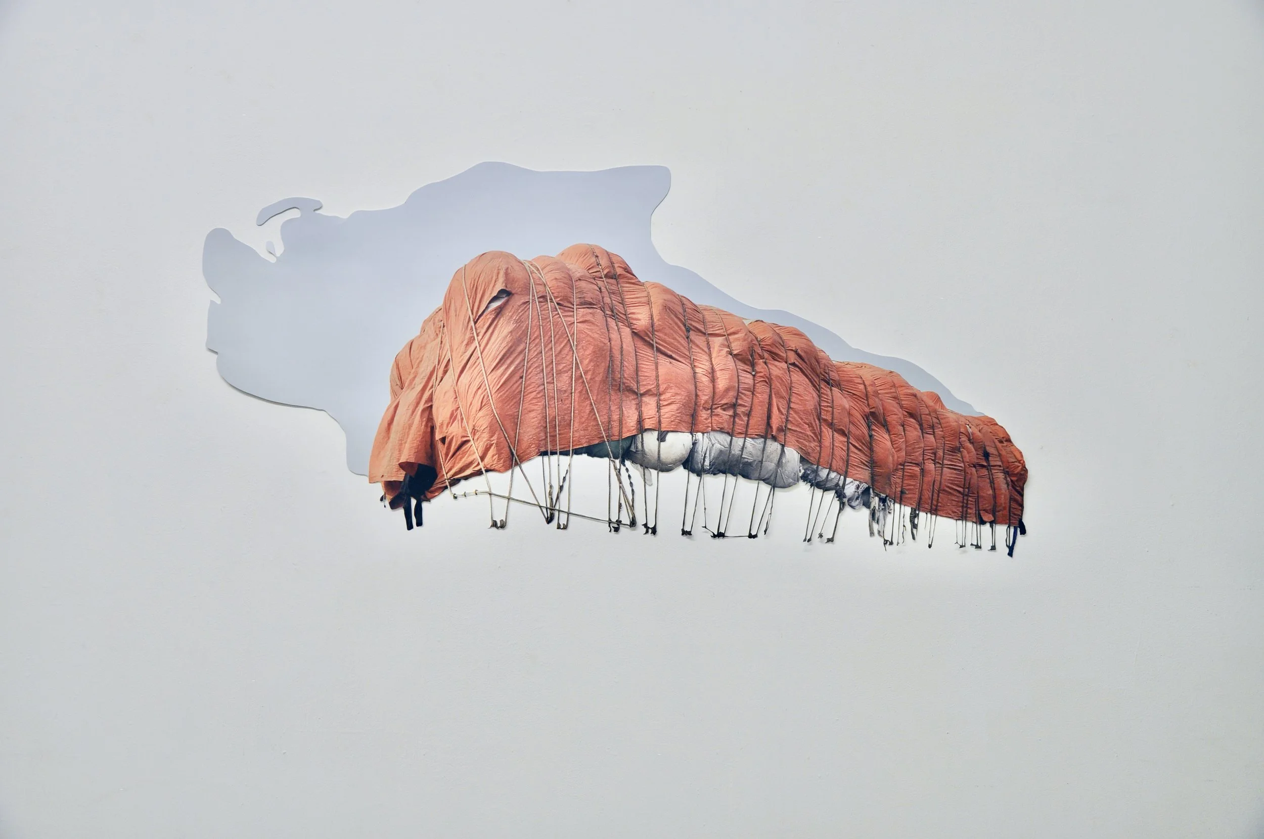 placeholder (flying snail), 2022