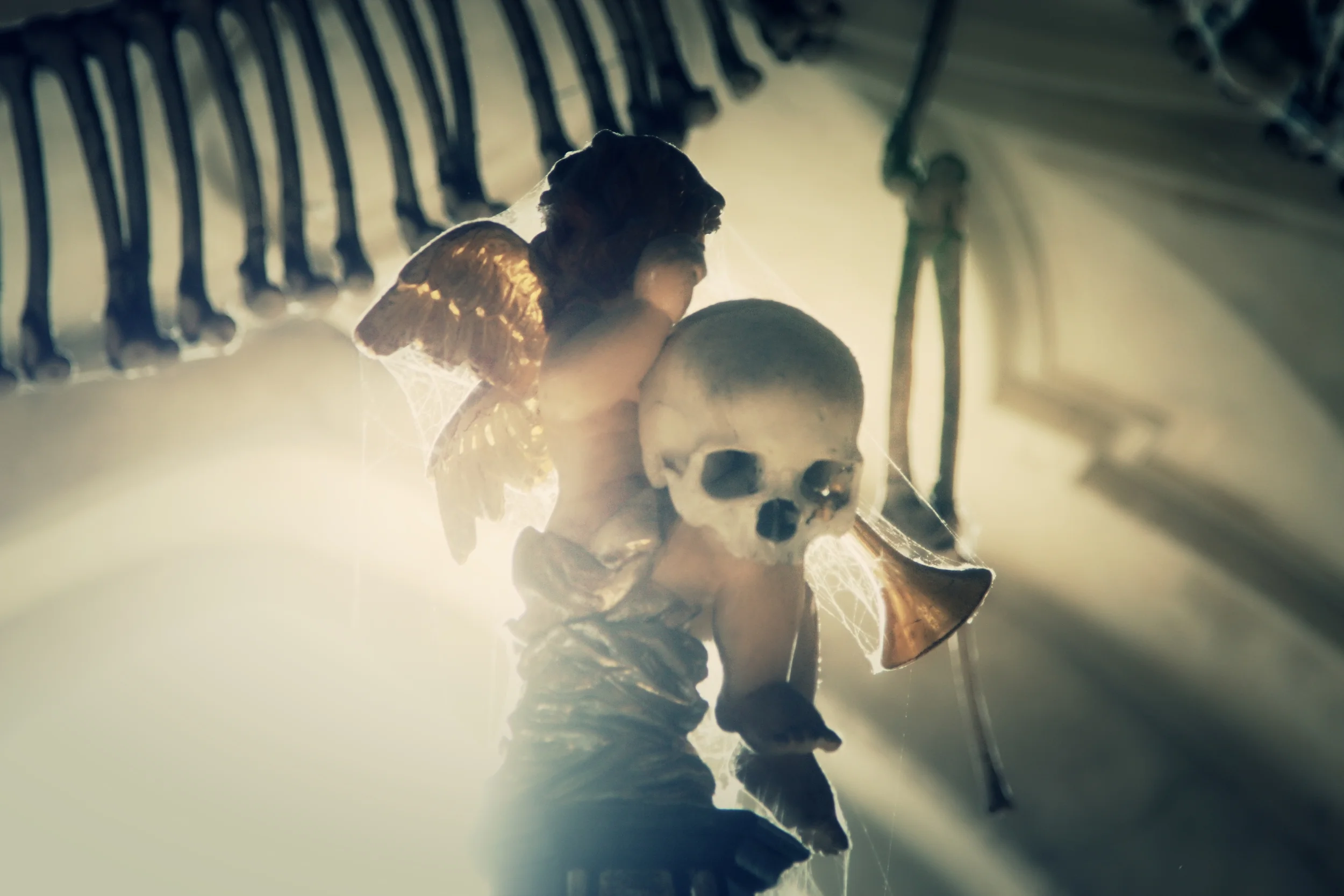 Ossuary Cherub