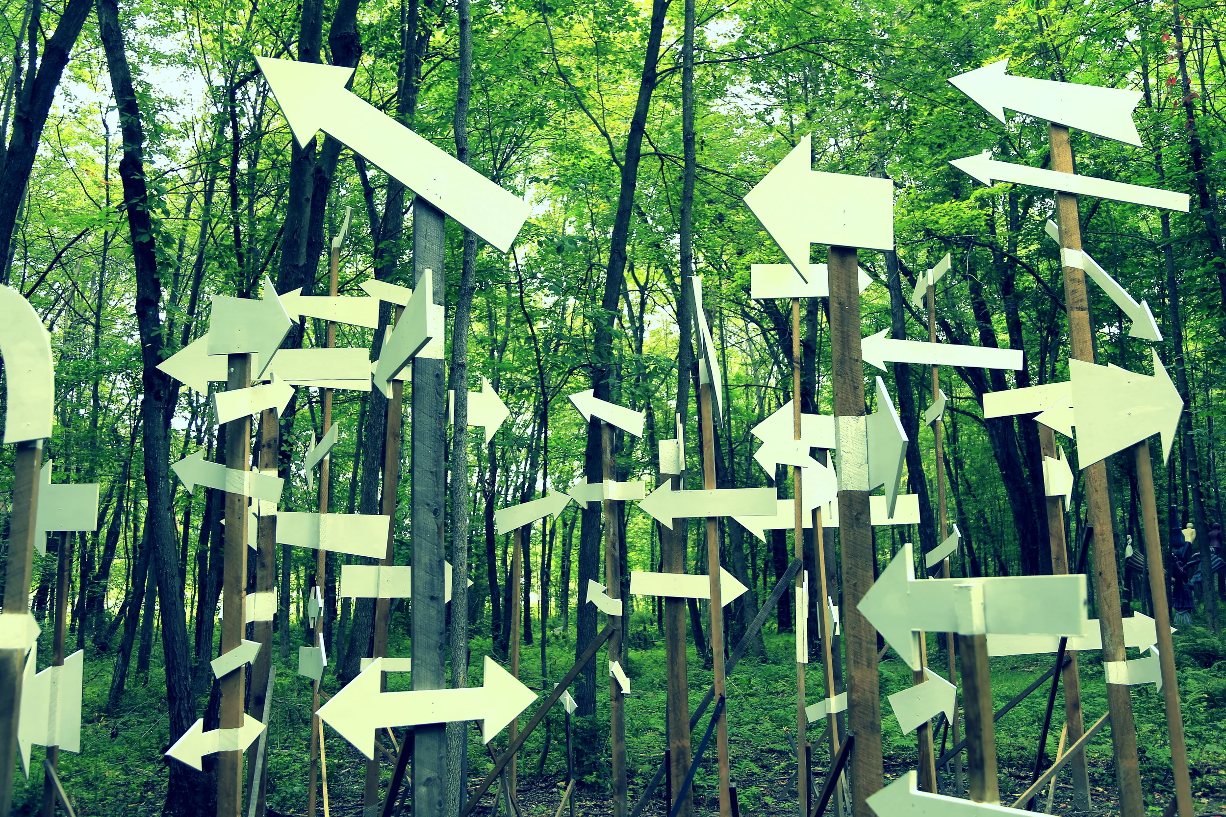 Which way?