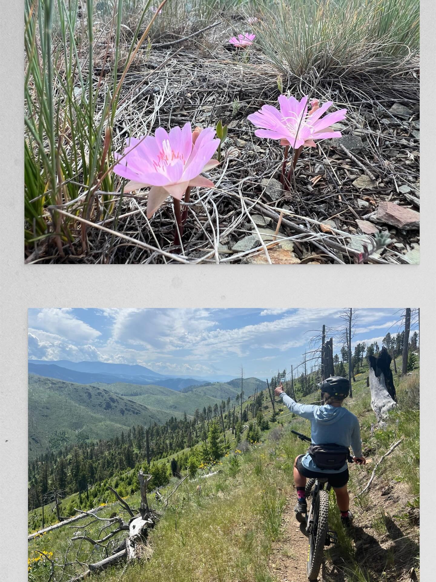 Winter dreaming of summer flowers,friends, rides and adventure.