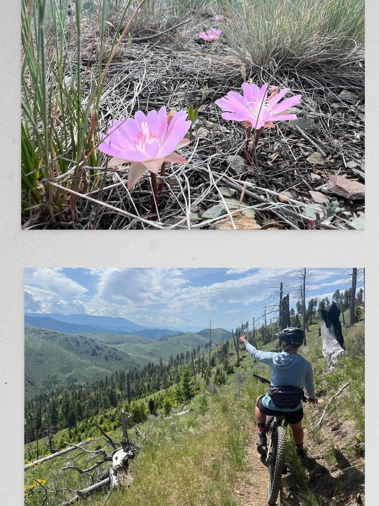 Winter dreaming of summer flowers,friends, rides and adventure.
