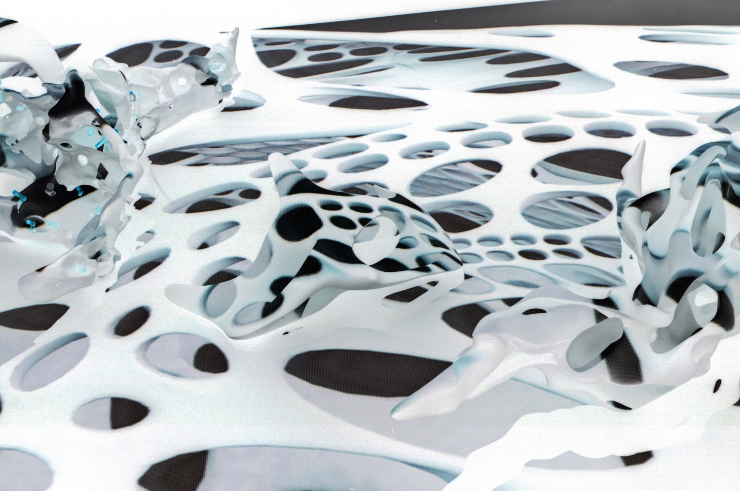 13.holes invertweb.jpg