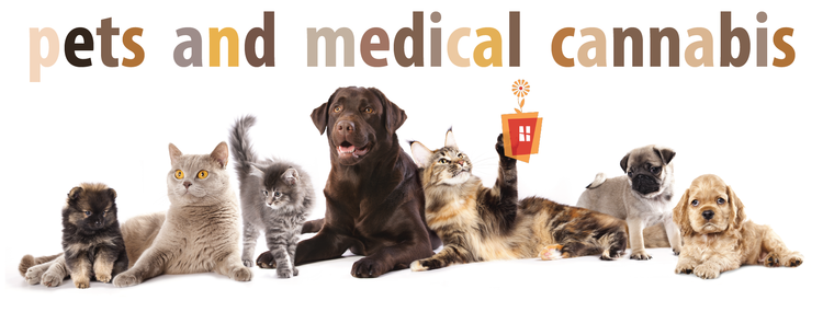pets01.png