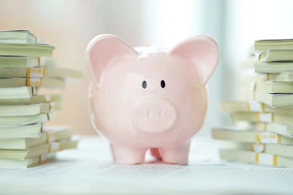 What counts as genuine savings in a loan application?