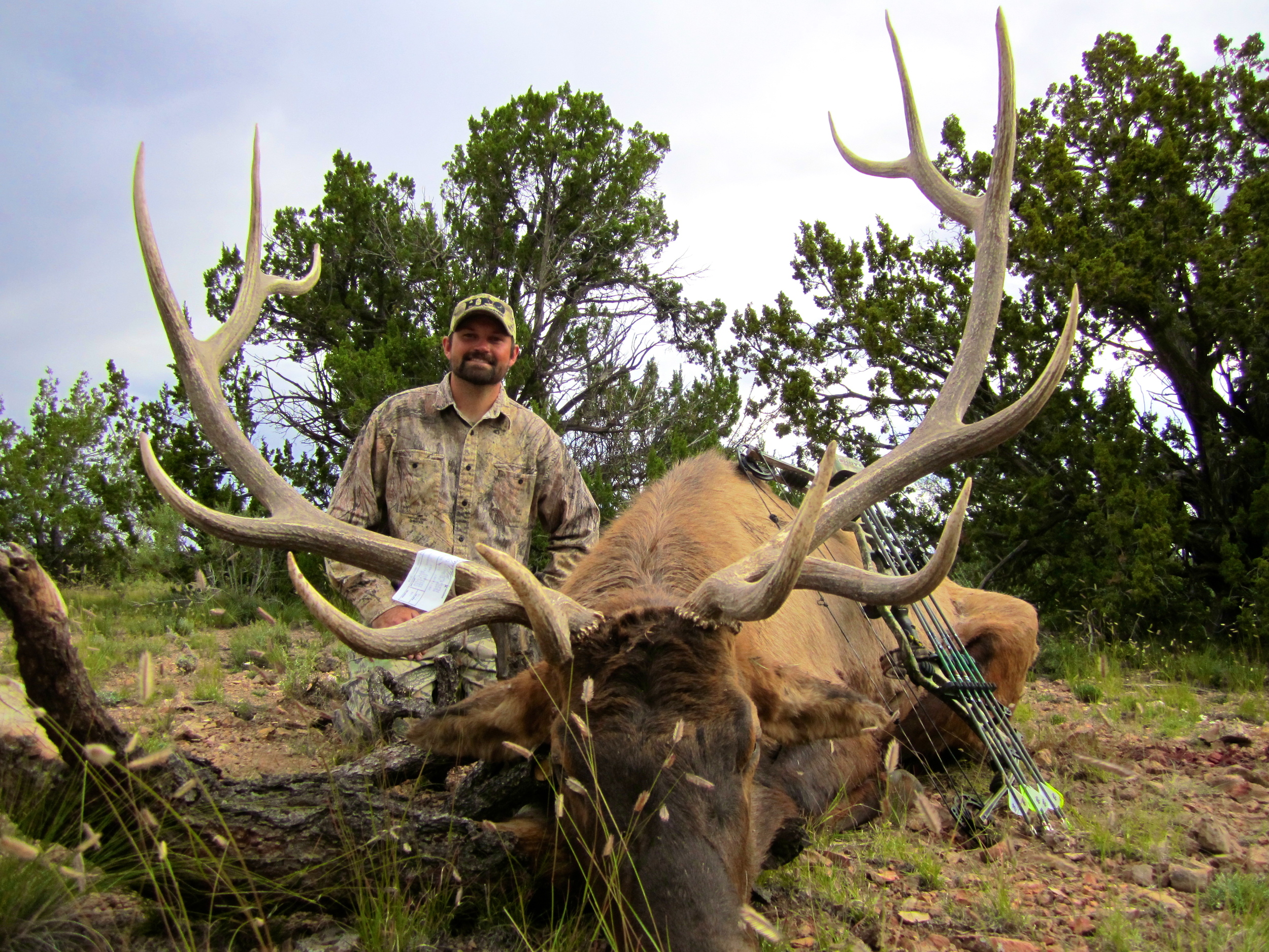 Arizona Elk Hunting High Point Outfitters