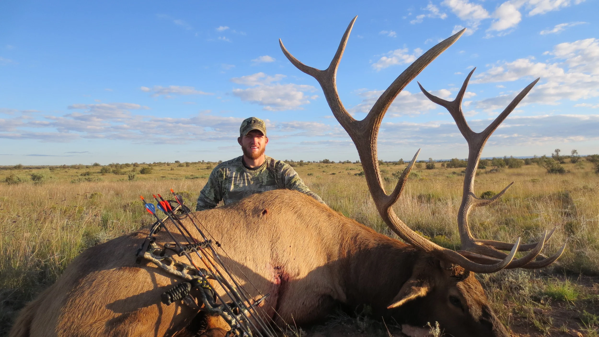 Arizona Elk Hunting — High Point Outfitters