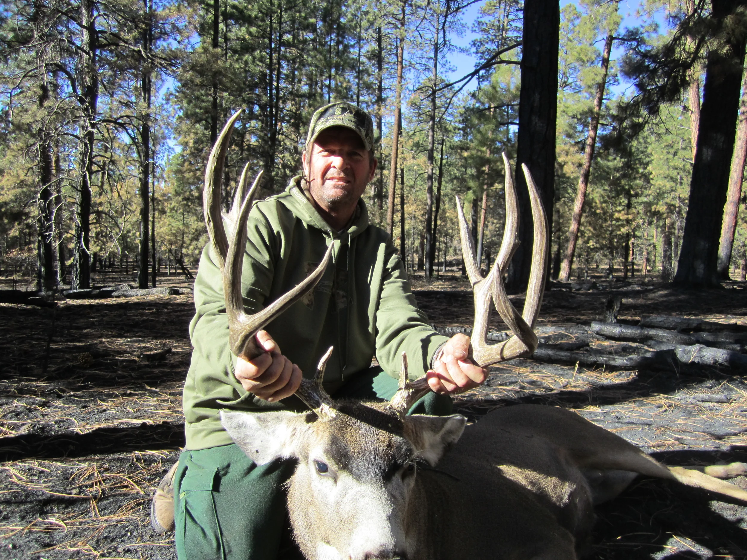 Arizona Deer Hunting — High Point Outfitters